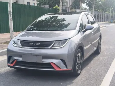 BYD Dolphin · 2023 год
