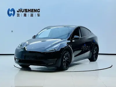 Tesla Model Y · 2023 год