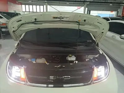 BYD Dolphin 2022, 82200 км, за 56500 CNY - фото 20