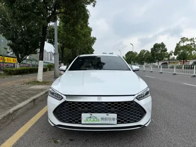 BYD Qin Plus · 2023 год