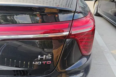 Hongqi H5 2025, 100 км, за 137733.66 CNY - фото 9