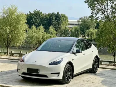 Tesla Model Y · 2022 год