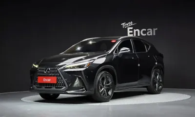 Lexus NX · 2023 год