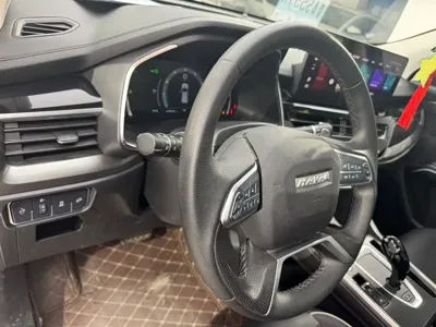 Haval H6 2022, 48000 км, за 69800 CNY - фото 10
