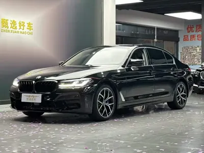 BMW 5 Series · 2022 год
