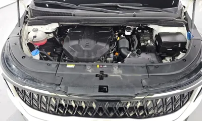 Kia Canival 2024, 51025 км, за 38400000 KRW - фото 6