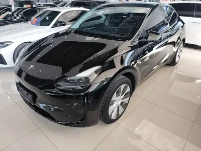 Tesla Model Y · 2023 год