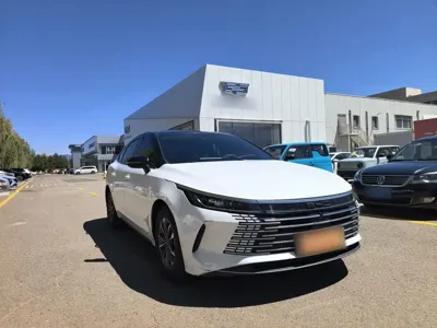BYD Destroyer 05 2024, 58200 км, за 49200 CNY