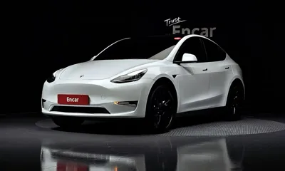 Tesla Model Y · 2022 год