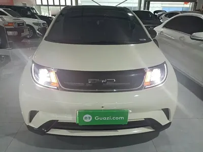 BYD Dolphin 2022, 82200 км, за 56500 CNY