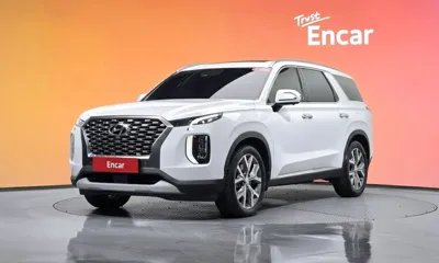 Hyundai Palisade · 2019 год