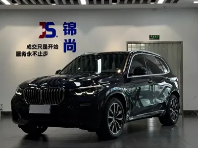 BMW X5 (Import) · 2021 год