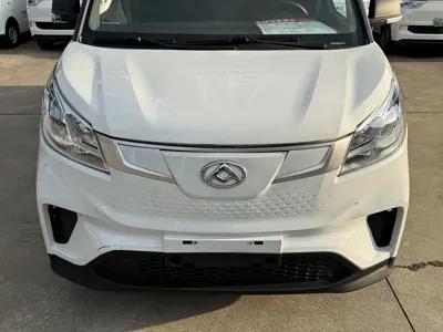 大通 EV30 2023, 209000 км, за 43800 CNY