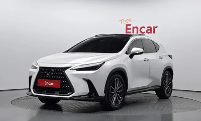 Lexus NX · 2023 год