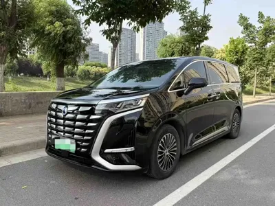 Denza Denza D9 · 2023 год