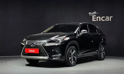 Lexus NX · 2021 год