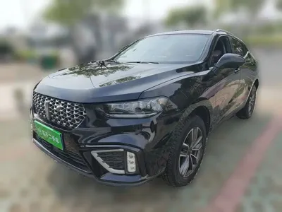 WEY Wey VV5 2021, 44700 км, за 46300 CNY - фото 1