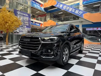 Haval H6 · 2022 год