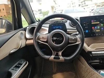 BYD Dolphin 2024, 89100 км, за 60400 CNY - фото 7