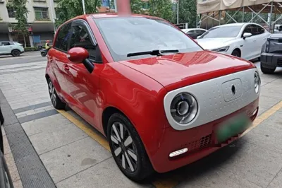 ORA Black Cat 2019, 49600 км, за 44805.42 CNY