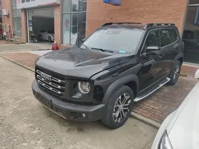 Haval Big Dog · 2022 год