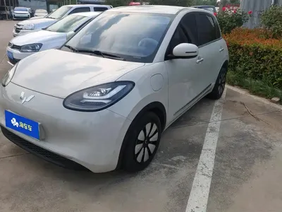 Wuling Bingo · 2024 год