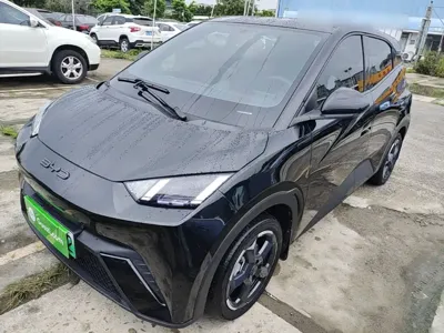 BYD Seagull · 2024 год