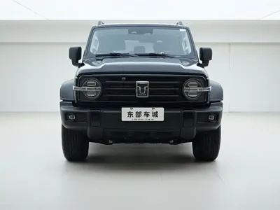 Tank Tank 300 2024, 45500 км, за 139800 CNY