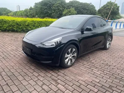 Tesla Model Y · 2021 год