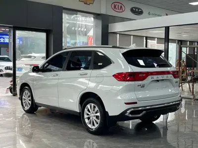 Haval M6 2023, 31000 км, за 75000 CNY - фото 15