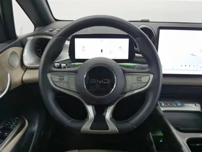 BYD Dolphin 2025, 23400 км, за 75800 CNY - фото 11