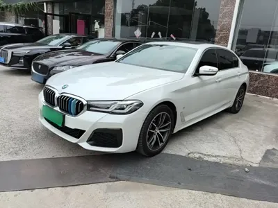 BMW 5 Series · 2021 год