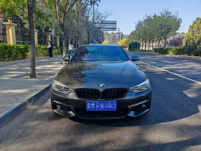 BMW 4 Series · 2016 год