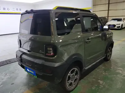 Galaxy Panda 2024, 16299 км, за 33800 CNY - фото 3