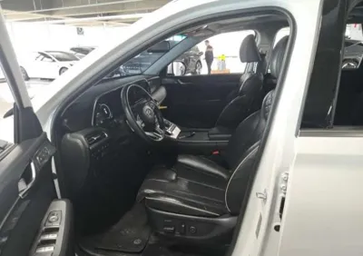 Hyundai Palisade 2022, 96982 км, за 4680000 KRW