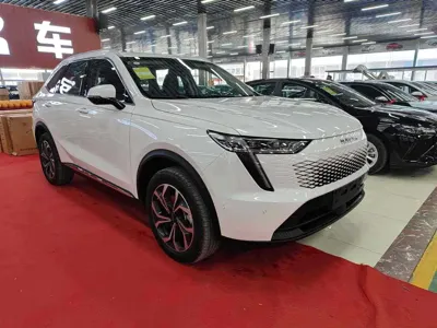 Haval Xiaolong Max 2025, 100 км, за 118800 CNY - фото 7