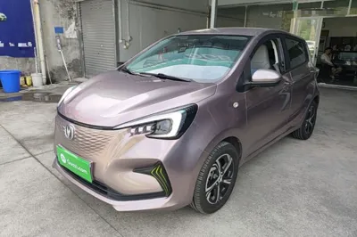 Changan Benni E-Star · 2020 год
