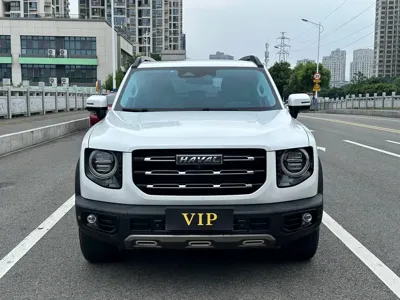 Haval Big Dog 2020, 65000 км, за 58800 CNY
