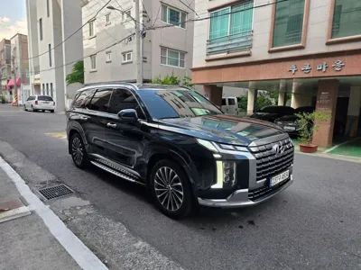 Hyundai Palisade · 2024 год