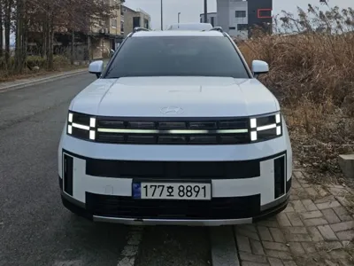 Hyundai Santafe · 2024 год