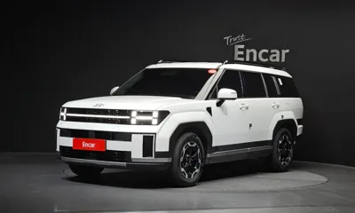 Hyundai Santafe · 2024 год
