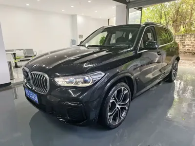 BMW X5 · 2022 год