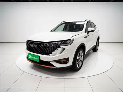 Haval H6 · 2022 год