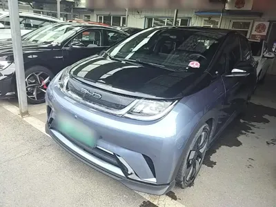 BYD Dolphin · 2023 год