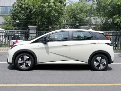 BYD Dolphin 2023, 68000 км, за 58800 CNY - фото 12