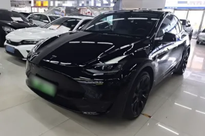 Tesla Model Y · 2022 год