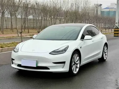 Tesla Model 3 · 2020 год