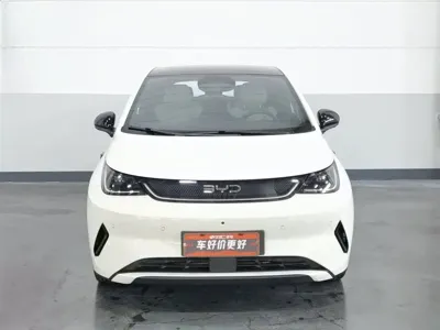 BYD Dolphin 2025, 23400 км, за 75800 CNY - фото 3
