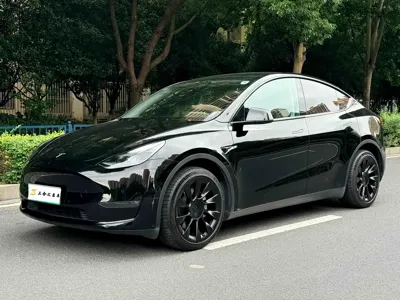 Tesla Model Y · 2022 год