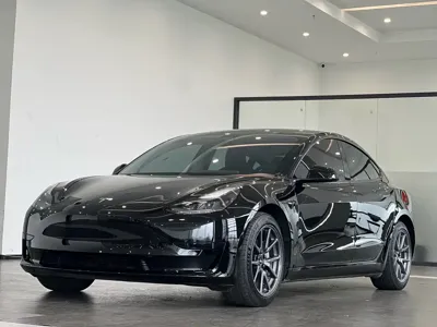 Tesla Model 3 · 2021 год